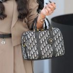 کیف Dior136425