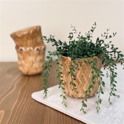 گلدان حصیریikia