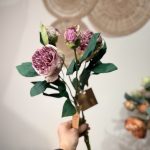 گل پیونی - تصویر 3