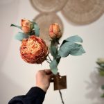 گل پیونی - تصویر 2